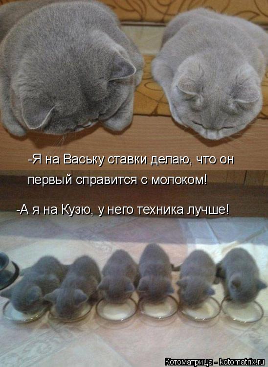 Котоматрица: -Я на Ваську ставки делаю, что он  первый справится с молоком! -А я на Кузю, у него техника лучше!