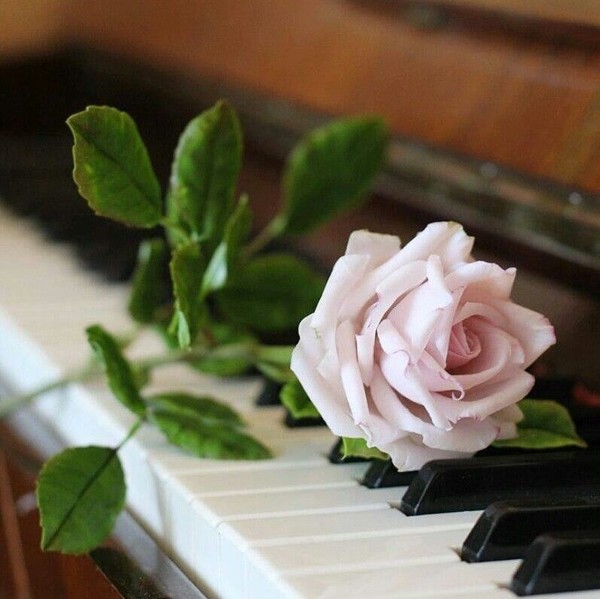 Romantic piano!!! Ernesto Cortazar